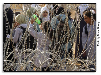 A Caged Existence - Photo by Bruce Gowdy